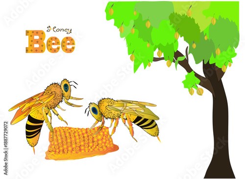 wax comb with two bees working on it