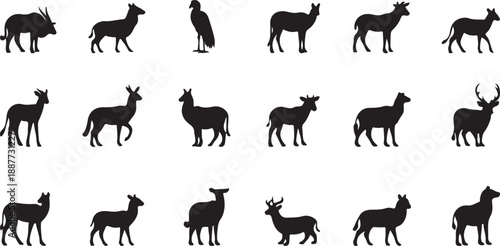A diverse collection of black animal silhouettes featuring various wildlife on a white background