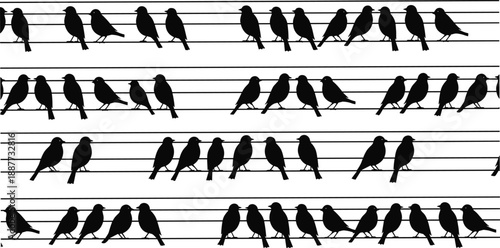Birds on wire seamless pattern, black silhouette flock sitting on power lines, minimalist wildlife background, repeating sparrow illustration design