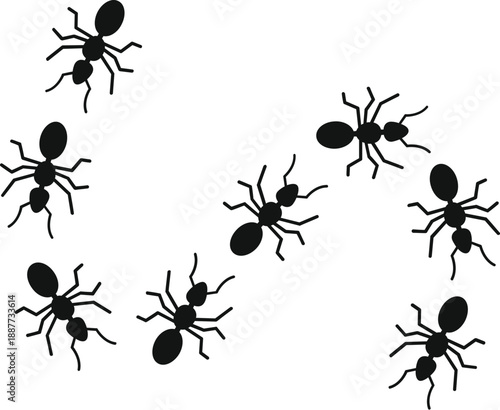 Group of black ants marching in a trail on a white background