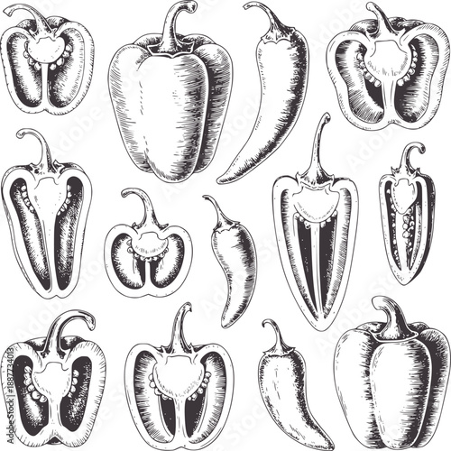 Black and of assorted bell and chili peppers food vegetable