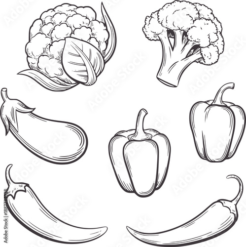 Black and of assorted vegetables including cauliflower eggplant bell peppers and chili peppers