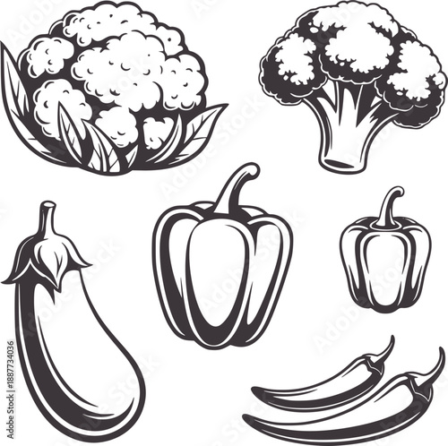 Black and of cauliflower broccoli bell peppers eggplant and chili peppers