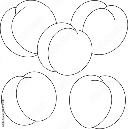 Five simple line peaches arranged in a scattered pattern fruit food outline
