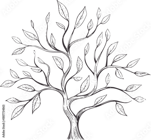 Hand drawn of a stylized tree with delicate leaves handdrawn branches nature