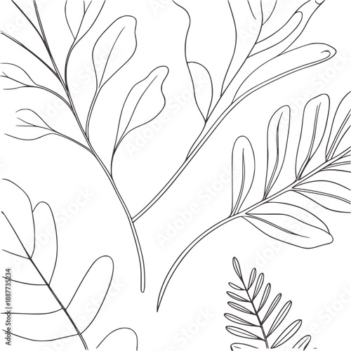 Minimalist line botanical of various leaves and stems