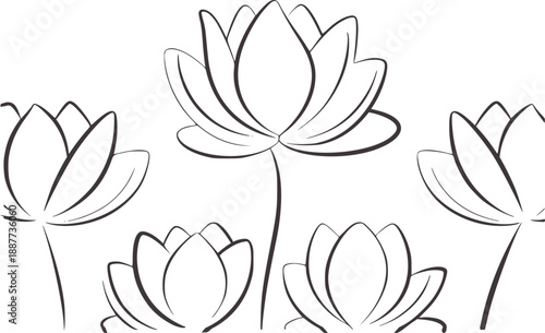 Minimalist of five lotus flowers in dark gray outline floral
