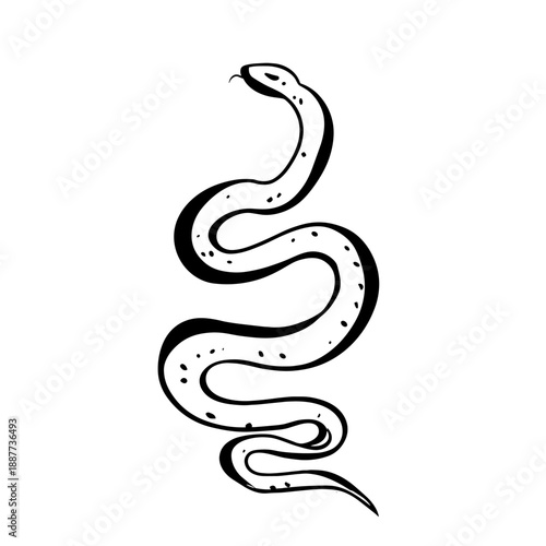 Boa Constrictor. Boa Constrictor simple black and white line art vector logo