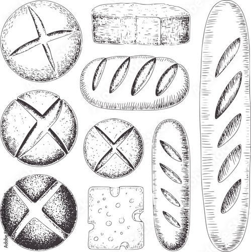 Monochromatic of assorted bread loaves and cheese loaf baguette round