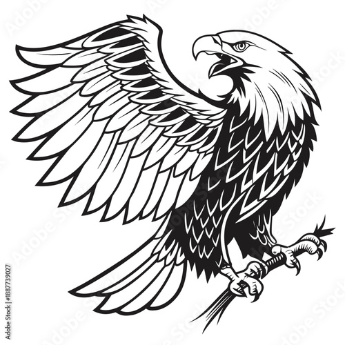 Majestic eagle illustration