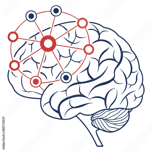 Brain network illustration