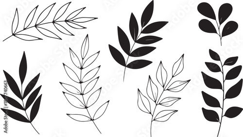 Hand Drawn Botanical Elements Leaves and Branches Vector Art Keywords: leaf, leaves, branch