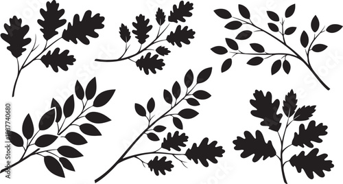 Mixed Botanical Branches Silhouette Vector Collection Keywords: leaf, leaves, branch, branches