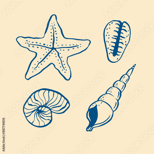 Hand drawn whimsical vector illustrations of shells and starfish on beige background
