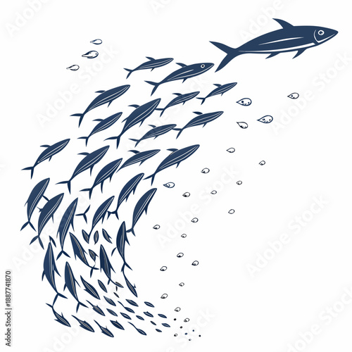 School of fish swimming