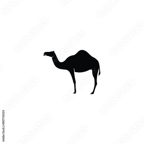 Black Camel silhouette rendered in a clean minimalist vector style, isolated on a white background. Simple graphic shape suitable for logos, icons, branding, prints, and design templates.