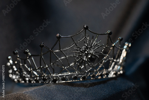 Картината върху платно Gothic crown diadem with spider and web.