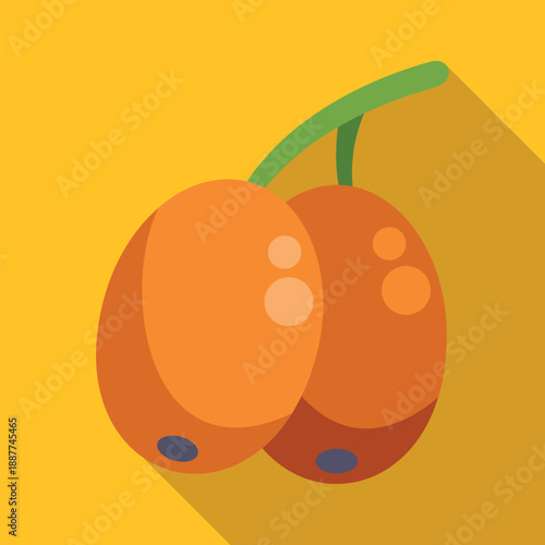 Two orange sea buckthorn berries with a green stem and a long shadow