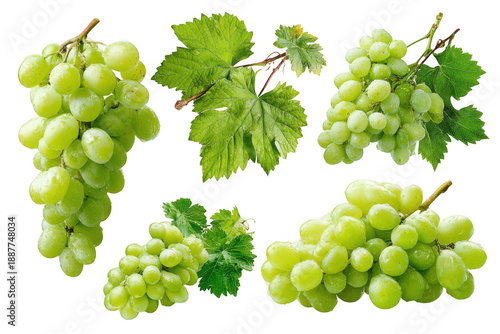 A bunch of grapes with green leaves