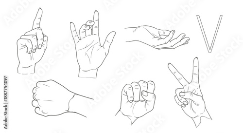 Hand Gestures and Sign Language Symbols Illustrated.
