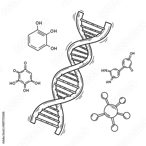 dna strand on white background