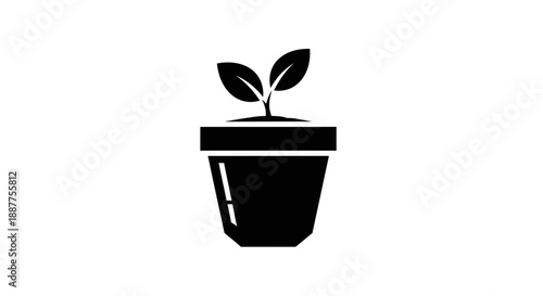 vector illustration of a plant