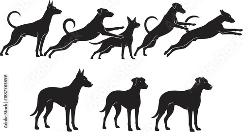 Black silhouette collection of different dogs standing jumping and running in various poses isolated on white background for pet training veterinary and canine concept designs