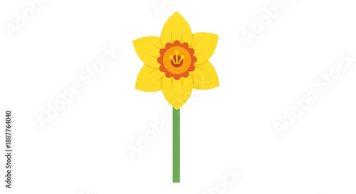 Vibrant yellow daffodil with orange center and green stem on white background