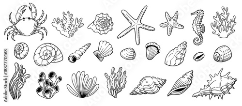 Marine wildlife doodle. Crab, seahorse and coral, seahorse and starfish, mollusk and seashell, seaweed for nautical vacation sticker, beach clipart and ocean pattern. Vector hand drawn isolated set
