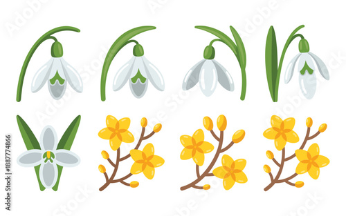 Delicate snowdrop and golden forsythia branch vector set with leaves, spring equinox bouquet clipart for cards, wedding invitation design