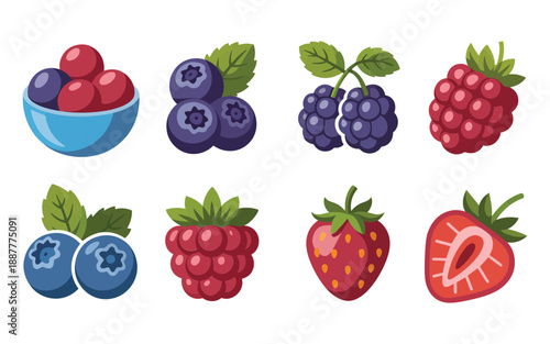Berry bowl vector set, blueberries raspberries strawberries gooseberries with leaves, breakfast granola branding, cafe menu graphics, summer farmers market illustration
