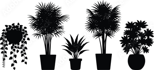 Minimalist black silhouette indoor plants collection with potted tropical foliage, modern botanical vector illustration isolated on white background for home office interior decor