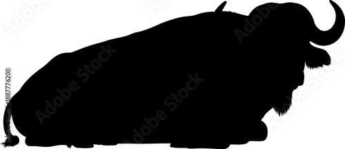 Cape buffalo lying down silhouette african wildlife nature illustration animal vector design element