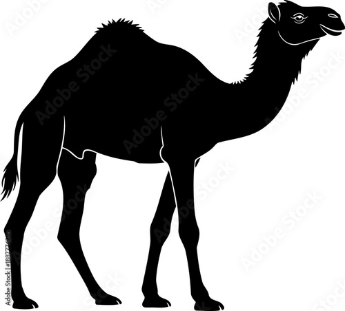 Camel profile silhouette desert wildlife nature illustration animal vector design element side view