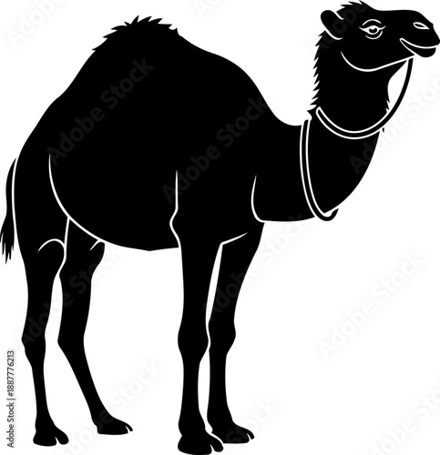 Camel standing with reins silhouette desert travel illustration animal vector graphic side view