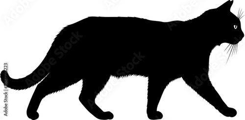 Cat walking silhouette domestic pet wildlife nature illustration animal vector graphic side view profile