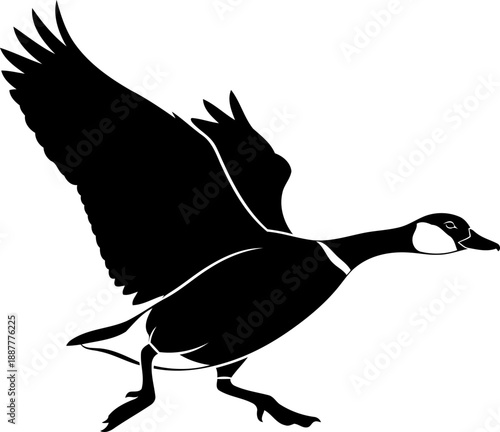 Canada goose flying silhouette waterfowl bird nature illustration animal vector graphic side view wings spread