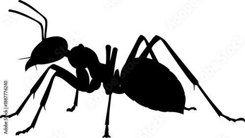 Ant silhouette insect wildlife nature illustration animal vector graphic side view crawling pose