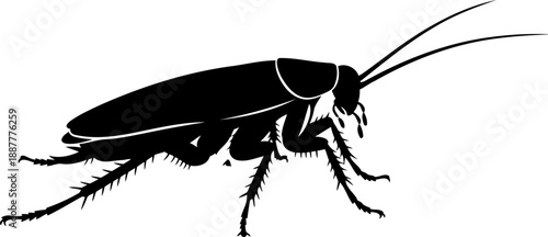 Cockroach detailed legs side view silhouette insect pest nature illustration animal vector graphic crawling stance