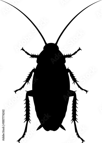 Cockroach top view antennae wide silhouette insect pest nature illustration animal vector graphic overhead perspective