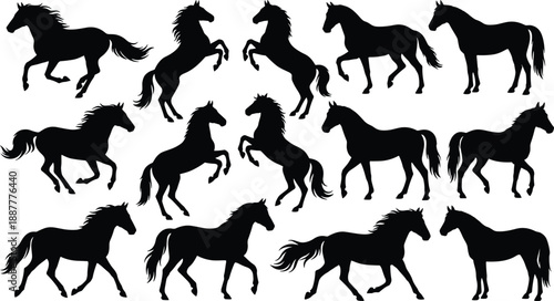 Running and rearing horse silhouettes collection featuring wild equine poses, black animal vector illustrations isolated on white background for logo branding, wildlife art, and graphic design