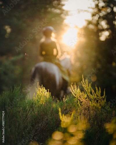 Horseback riding in summer forest