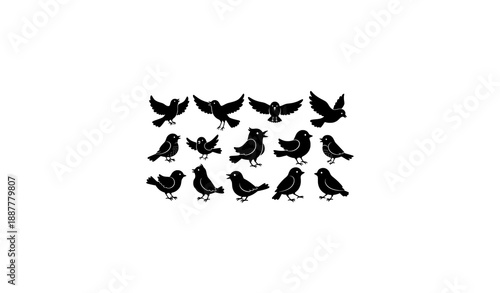 Black doodle bird silhouettes set vector illustration for nature and decoration