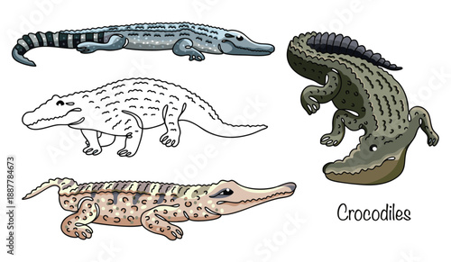Crocodiles