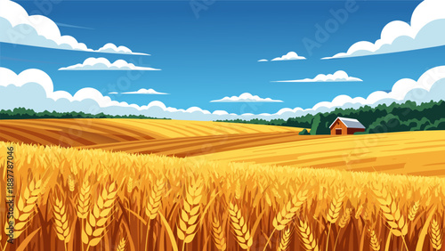 Vector illustration of a golden wheat field under a bright blue sky with scattered clouds and a small barn in the distance, showcasing a rural landscape in summer