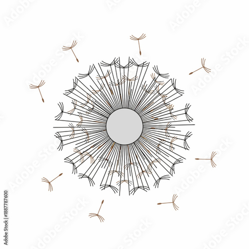 Stylized illustration of a dandelion seed head with seeds blowing away