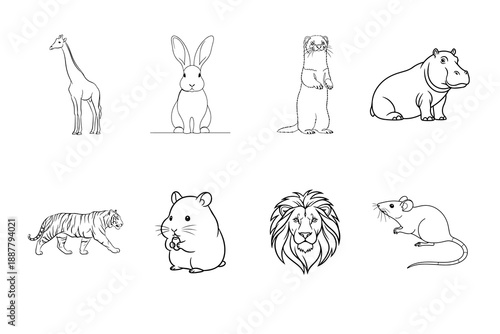 Vector set of wild animal line art drawings isolated on white background