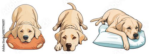 Illustration of a lazy Labrador lying in a relaxed pose. Made in a clean vector style with minimal flat design without unnecessary details. Rest, peace, laziness. For the design of products about pets