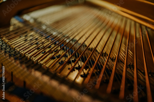 Close-up of piano strings and tuning pins inside a grand piano.