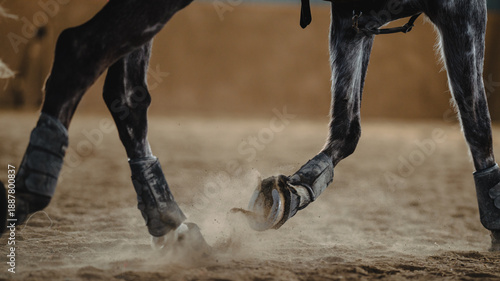 Horse running inside riding hall
